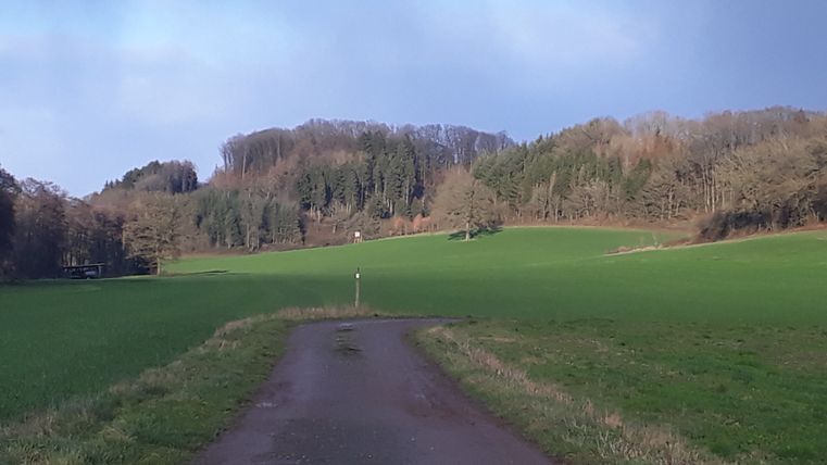 A country lane leads through green meadows to a wooded hill under a blue sky.
