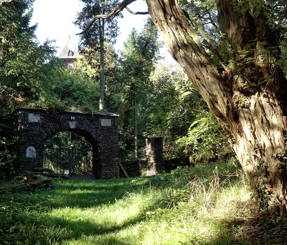 Ein Steinbogen im Wald, umgeben von Bäumen, mit einem Turm im Hintergrund. Sonnenlicht fällt auf den moosbewachsenen Boden., © Naturpark Südeifel, V. Teuschler
