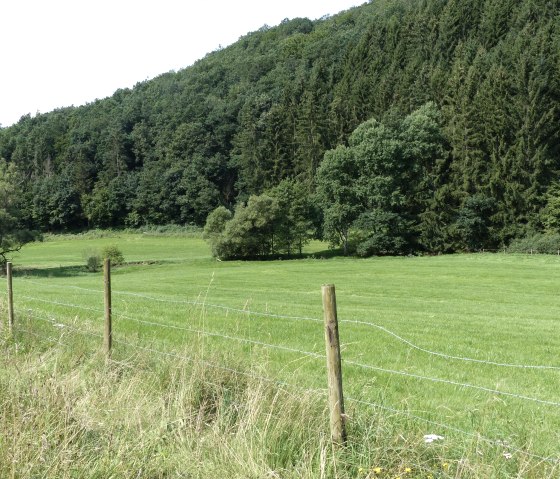 Wiesen und bewaldete Hänge bei Irrhausen, © Tourist-Information Islek