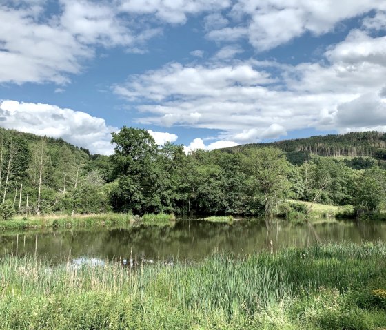 Stausee Irrhausen, &copy; Naturpark S&uuml;deifel/Ansgar Dondelinger