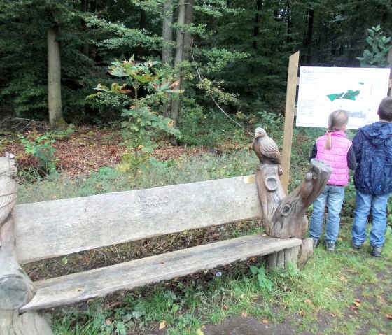 Two children look at an information board in the forest. Next to it is a wooden bench with carved owls. The ground is covered with leaves., &copy; Tourist-Information Bitburger Land
