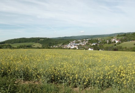 Fernsicht