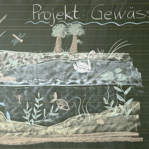 Naturpark-Schule Langsur Projekttage, &copy; Naturpark S&uuml;deifel/Ansgar Dondelinger.