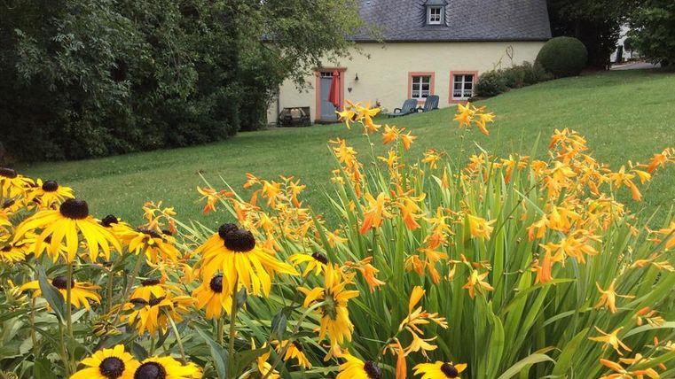 Un beau jardin avec des fleurs jaunes colorées au premier plan. À l'arrière-plan, il y a une maison confortable avec des fenêtres rouges et une pelouse verte.