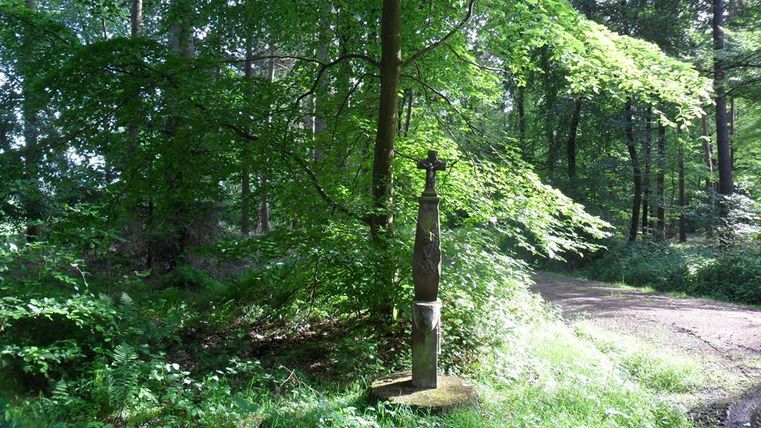 Une forêt tranquille avec une verdure luxuriante et la lumière du soleil qui filtre à travers les arbres. Près du chemin, se dresse une petite statue.