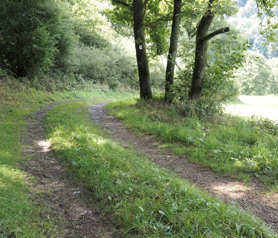 Hiking trail in the Our valley, © V. Teuschler