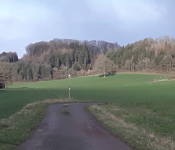 A country lane winds its way through green meadows towards a wooded hill. The sky is blue and clear., &copy; Felsenland S&uuml;deifel Tourismus GmbH