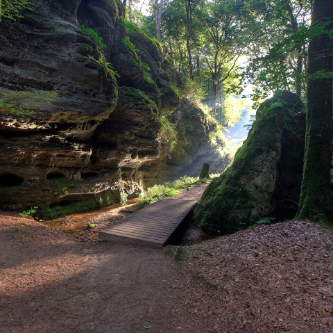 Leitfoto Naturwanderpark Delux, &copy; Naturpark S&uuml;deifel/Charly Schleder