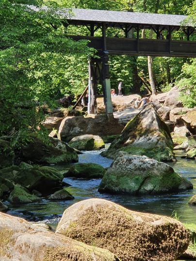 Een rustige rivierlandschap met grote, met mos bedekte stenen en kleurrijke groen. Op de achtergrond is een houten brug en mensen die van de natuur genieten.