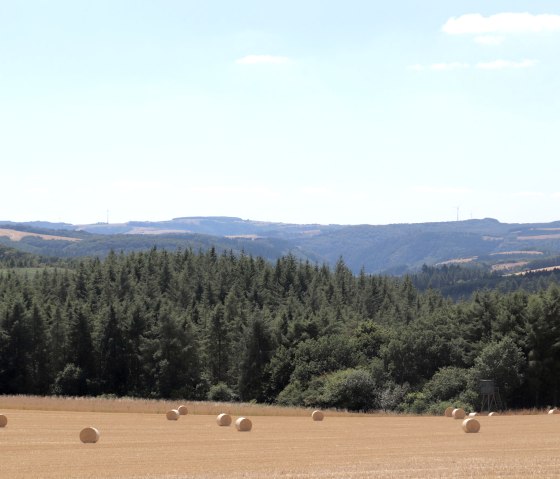 Distant view from Bommert, © Tourist-Information Islek