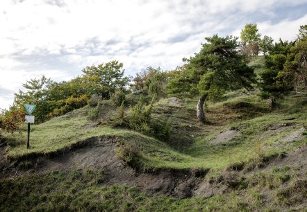Grüne Hügellandschaft im Naturschutzgebiet Scharren bei Dockendorf mit Bäumen und einem Naturschutzgebietsschild unter bewölktem Himmel., © Tourist-Info Bitburger Land