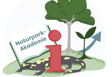 Informationen Bildung f&uuml;r nachhaltige Entwicklung, &copy; Naturpark S&uuml;deifel/markenmut