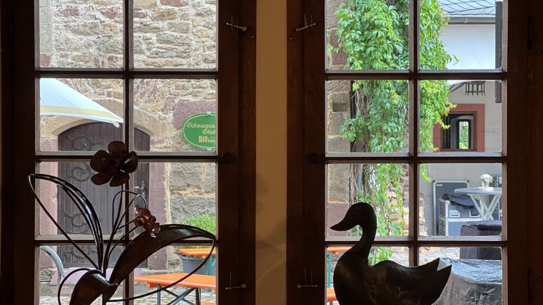 Une belle vue à travers une fenêtre avec des cadres en bois rustiques. Sur le rebord de la fenêtre se trouvent une sculpture de fleur et une figurine de canard.