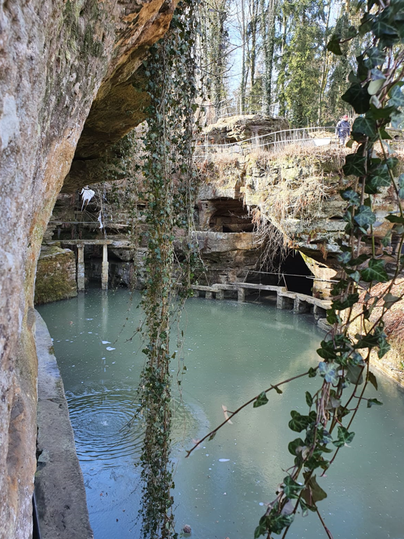 Een pittoreske plek met een kleine, stille vijver en omgeven door rotsen en bomen. Groene planten hangen over het water en creëren een rustige sfeer.