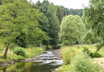 Ein kleiner Fluss schl&auml;ngelt sich durch eine gr&uuml;ne Landschaft mit B&auml;umen und Wiesen. Der Himmel ist bew&ouml;lkt, und das Wasser reflektiert das umgebende Gr&uuml;n., &copy; TI Bitburger Land