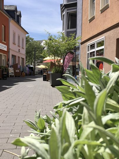 Eine ruhige Straße mit bunten Gebäuden und Tischen im Freien. Grüne Pflanzen schmücken im Vordergrund den Gehweg.