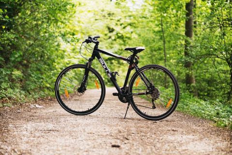Un vélo est posé sur un chemin de gravier qui traverse une forêt verdoyante. L'environnement est luxuriant avec des arbres et des plantes.