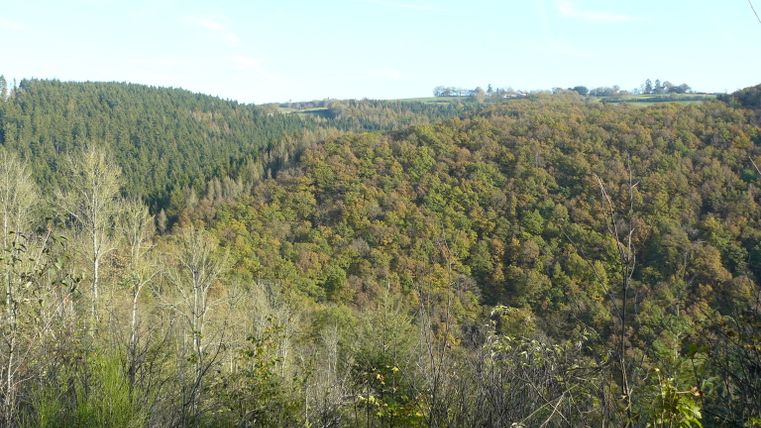 Vue sur les collines boisées et les vallées sous un ciel clair.
