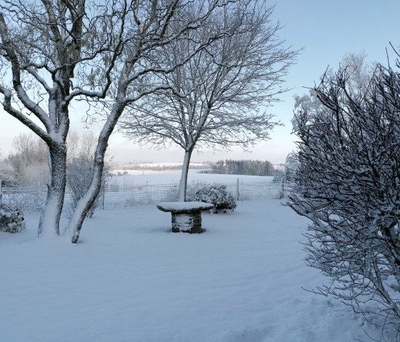 versunken im Schnee, &copy; Maria Theis