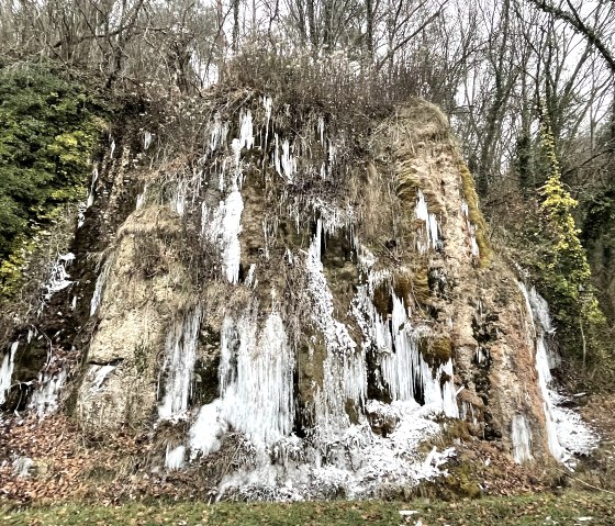 Tr&auml;nenlay im Winter, &copy; Naturpark S&uuml;deifel/Ansgar Dondelinger.