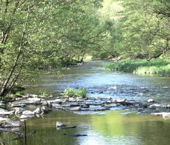 Ein ruhiger Fluss fließt durch einen grünen Wald im Naturpark Südeifel. Steine und Bäume säumen das Ufer, das Wasser spiegelt das Grün der Umgebung., © Paul Jürgen Evertz