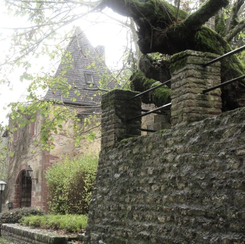 Roth Castle, © Felsenland Südeifel Tourismus GmbH