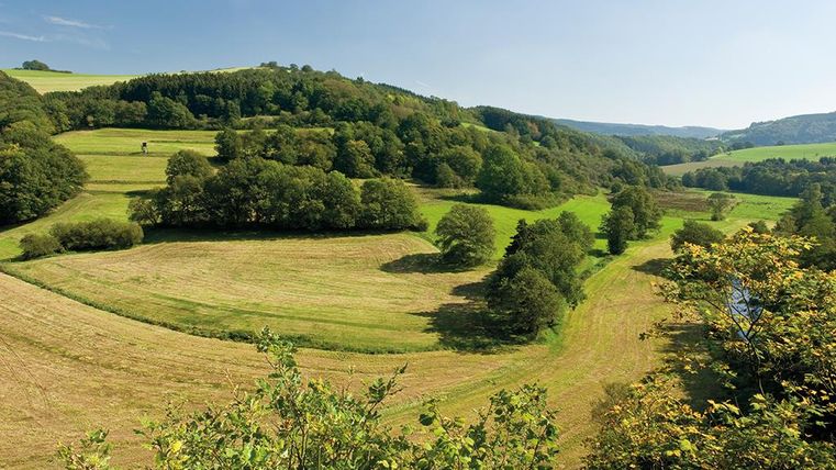 Eine grüne Landschaft mit sanften Hügeln und Wäldern. Der Himmel ist klar und die Sonne scheint.
