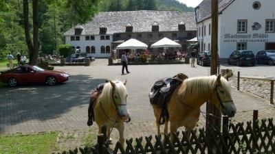 Two horses are standing by the fence in a picturesque setting. In the background, a large building with terraces and guests can be seen.