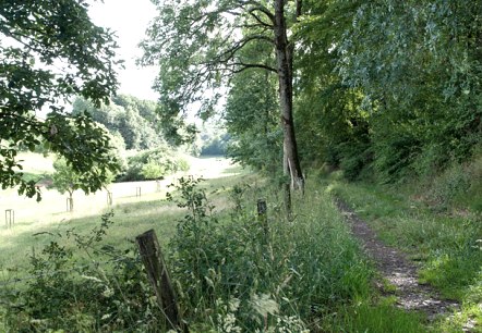 Im Lammbachtal, &copy; V. Teuschler