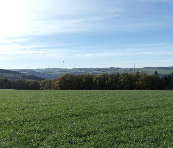 Fernblick nach Luxemburg, &copy; Tourist-Information Islek