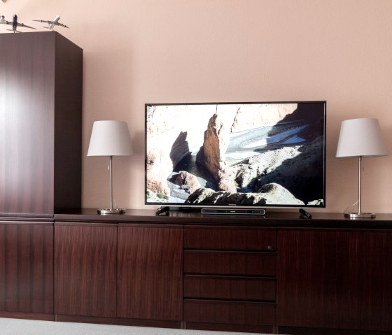 gro&szlig;es SAT-TV und DVD Player, &copy; Gerhard M&uuml;ller