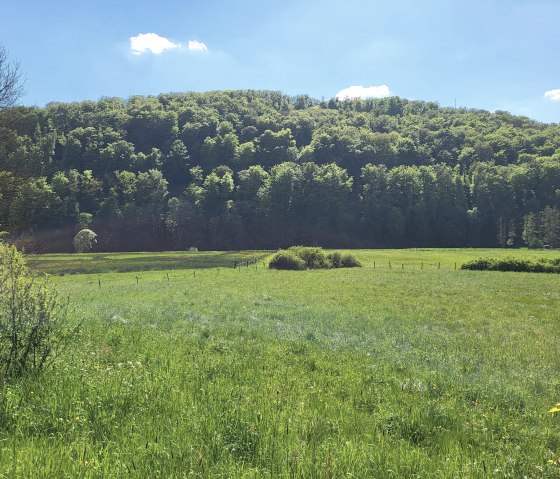 Talauen an der Our, &copy; Tourist-Information Islek