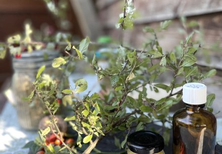 Outdoorapotheke, &copy; Felsenland S&uuml;deifel Tourismus GmbH