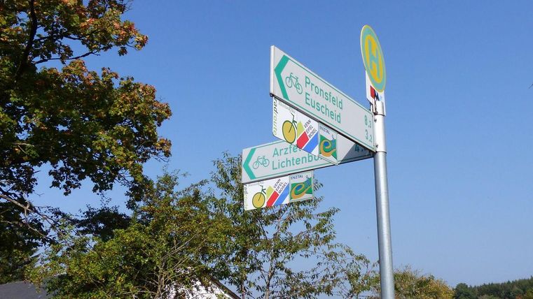 A traffic sign with directional indicators for cyclists. It shows the paths to Eischied and Lichtenburg, surrounded by trees and a clear sky.