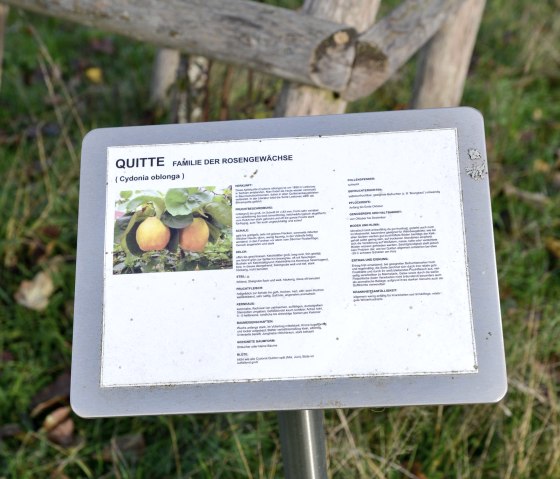 Beschreibungen zu den Obstb&auml;umen, &copy; TI Bitburger Land