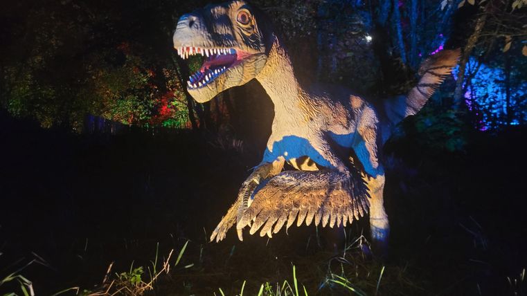Ein Dinosauriermodell steht in einem dunklen, bewaldeten Bereich. Es wird von buntem Licht angestrahlt und vermittelt eine spannende Atmosphäre.