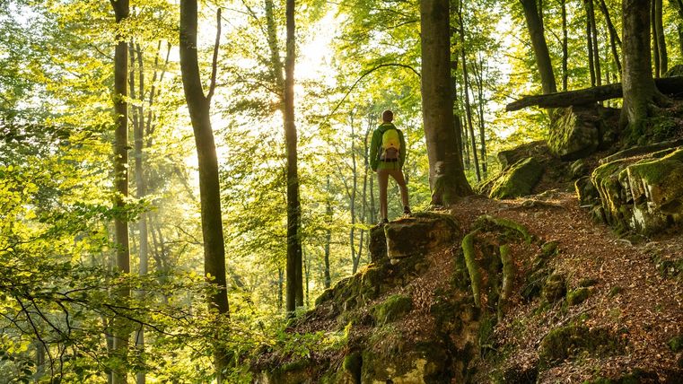 Ein Wanderer steht auf einem Felsen im Wald, umgeben von Bäumen und Sonnenlicht.