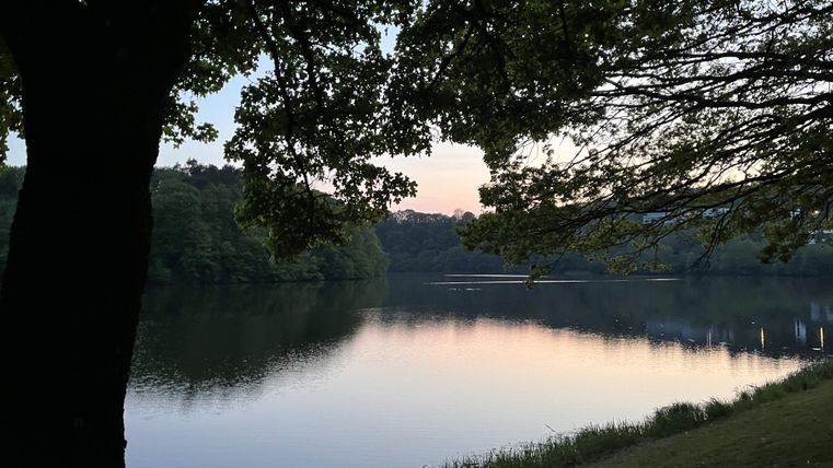 Ein ruhiger See umgeben von Bäumen in der Abenddämmerung. Das Wasser spiegelt die sanften Farben des Himmels wider.