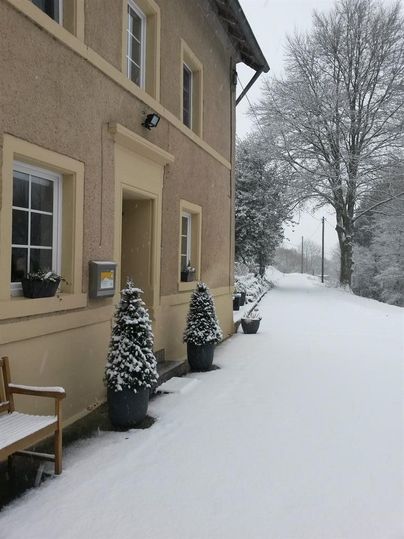 A winter scene featuring a building surrounded by snow. The street is also covered in snow and decorated with snow-covered plants.