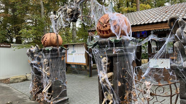 Ein Gruseleingang mit Halloween-Dekoration. Kürbisse, Spinnweben und Skelettfiguren sorgen für eine unheimliche Atmosphäre.