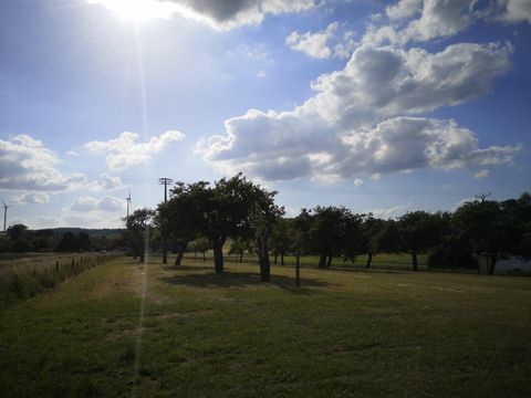 Eine grüne Wiese mit mehreren Bäumen unter einem klaren blauen Himmel. Im Hintergrund sind einige Wolken und Windkraftanlagen zu sehen.