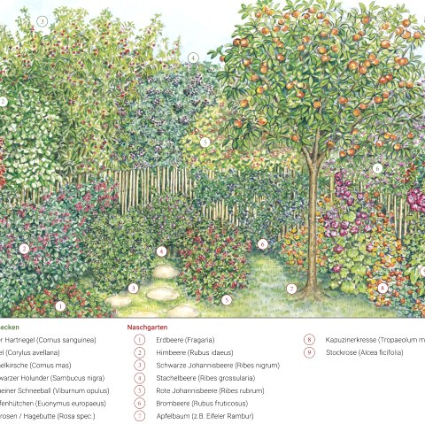 Gartenkultur Eifel Oktober, &copy; Naturprk S&uuml;deifel/Sabine Dubb.