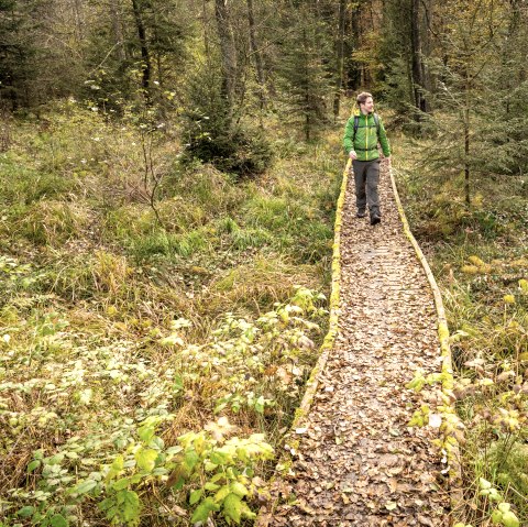 Footbridge on the Schneifel moorland trail, &copy; Eifel Tourismus GmbH, Dominik Ketz