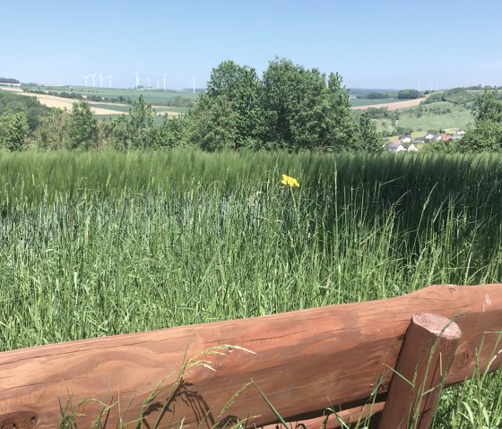 Eine Holzbank steht vor einer gr&uuml;nen Wiese. Im Hintergrund sind Windr&auml;der und eine h&uuml;gelige Landschaft zu sehen., &copy; Fellmann