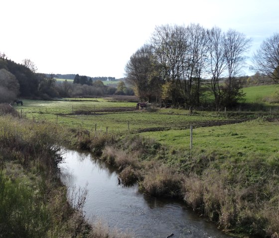 &Uuml;berquerung der Irsen, &copy; Tourist-Information Islek