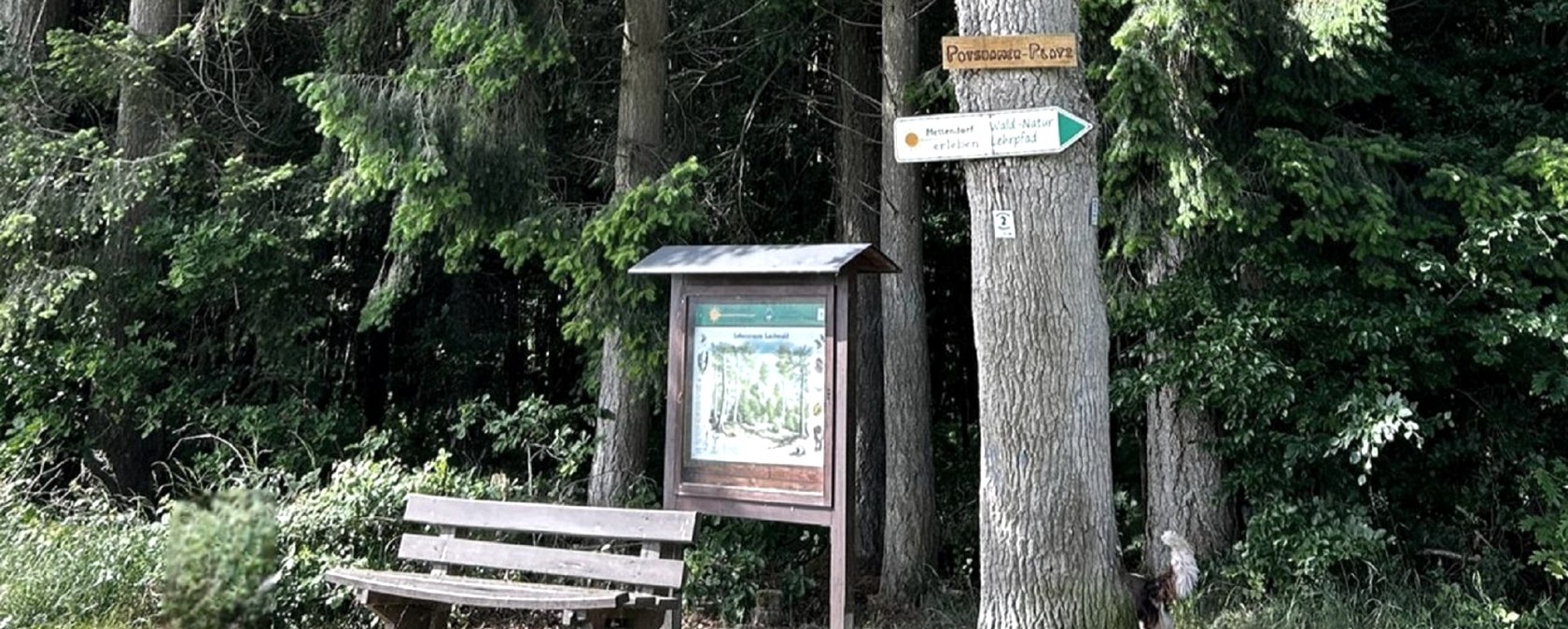 Naturlehrpfad Mettendorf, © Felsenland Südeifel Tourismus GmbH