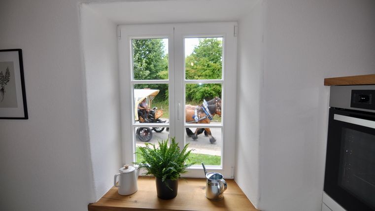 Ein Fenster mit Blick nach draußen, durch das eine Kutsche mit Pferden zu sehen ist. Auf der Fensterbank stehen Pflanzen und Dekorationsgegenstände.