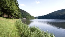 Stausee Ufer, © Tourist-Information Bitburger Land