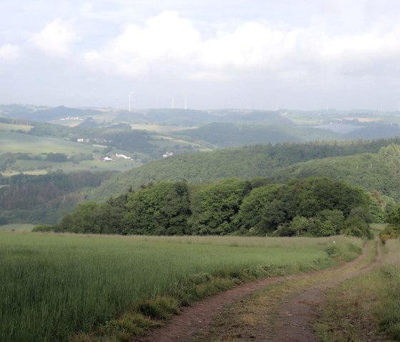 Distant view towards Mauel, © Tourist-Information Islek