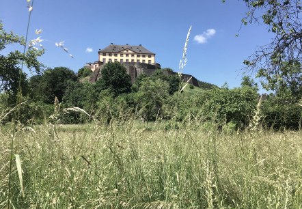 Schloss Malberg, &copy; TI Bitburger Land